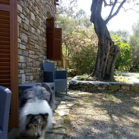 Vivi Tra Mare E Ulivi Diano Marina