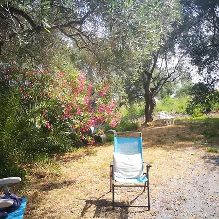 Vivi Tra Mare E Ulivi Casa vacanze *