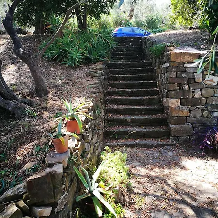 Casa vacanze Vivi Tra Mare E Ulivi Diano Marina