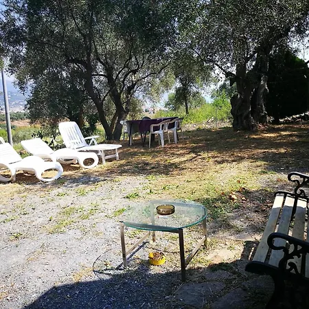 Casa vacanze Vivi Tra Mare E Ulivi