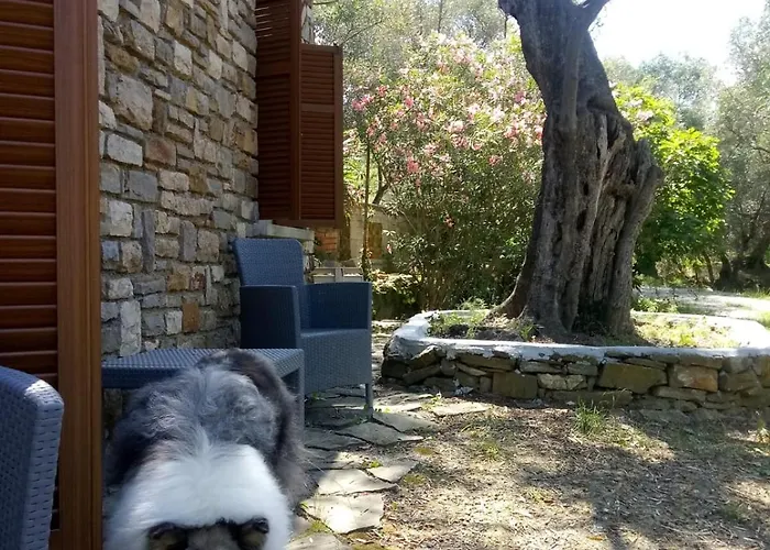 Vivi Tra Mare E Ulivi דיאנו מרינה