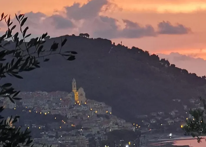 Vivi Tra Mare E Ulivi